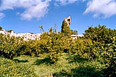 Siracusa, Parco Archeologico Neapolis. Latomie del Paradiso 